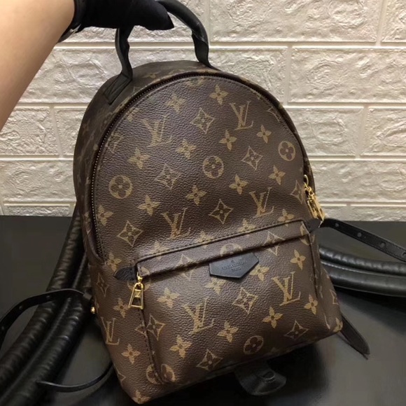 Louis Vuitton Handbags - Louis Vuitton Palm Springs Backpack PM